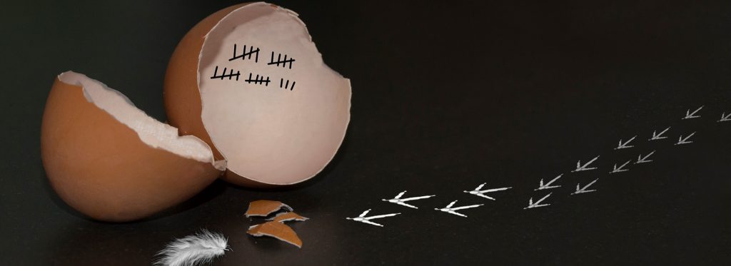 Agencia de negocio y estrategia digital