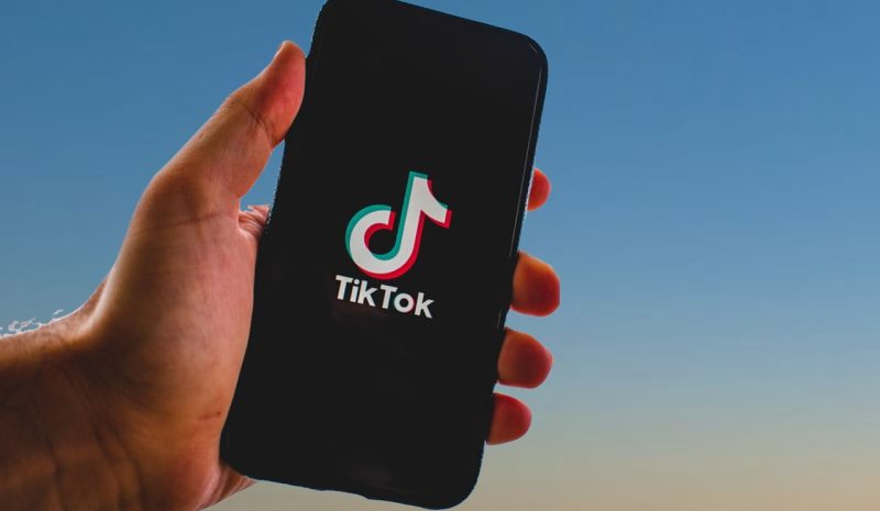 TikTok Ads integrado en la estrategia de marketing de tu negocio