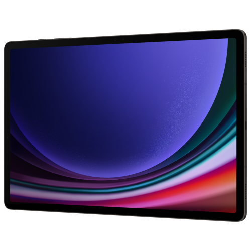 Galaxy Tab S9 Plus_Graphite_Product Image_R30