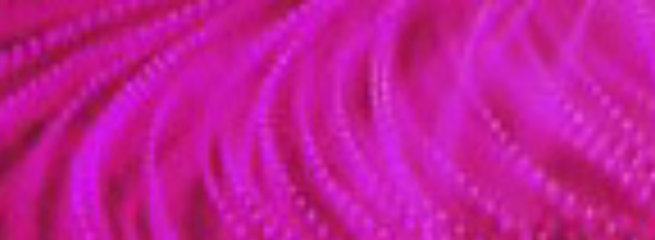 EPOINT Gestión de negocios digitales​